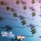 Palm Trees feat Derek King Single
