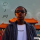 D I A Did It Again Single