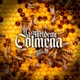 La Miel de Mi Colmena Single