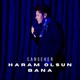 Haram Olsun Bana Single