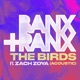 The Birds Acoustic feat Zach Zoya Single