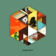 Sublimity Single