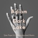 Dark Lake Tyler Pope LCD Soundsystem Remix Single