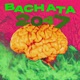 BACHATA 2047 feat Los Reyes del After Don Nomal Luisito Teloxplica Single