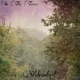 In the Trees