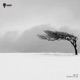 Graviton Single