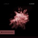 Closer Single