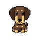 silly dog Single
