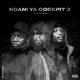 Ndani Ya Cockpit 3