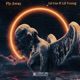 Fly Away feat Lil Young Single