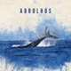 Abrolhos Single