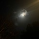 Lunar Single
