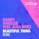 Beautiful Thing feat Aina Roxx Remix Single