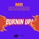 Burnin Up feat Mr Shammi Dash Single