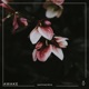 Awake Single