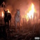 TWEAKING feat Shyne Zo Single