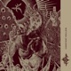 Constant Hollow Single