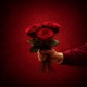 Phul Gulaab De Single