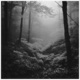 Sonder Rework feat Kevin Kuh Single