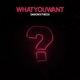 What You Want Single