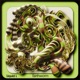 Earthworm Single