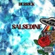 Salsedine