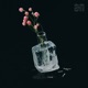 yakanhikou Single