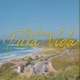 Pura Vida Single