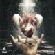 Rightnow 2 Single
