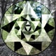 Walking in the Woods Single
