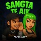 Sangta Te Aik Single