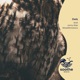 Owls Single