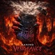 Vengeance Single