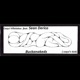 Buckanakeds feat Sean Derico Single