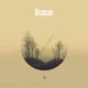 Usacar Single