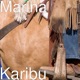 Karibu Single
