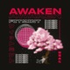 Awaken Single