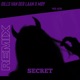Secret Remix Single