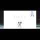 Focus Single