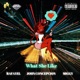 What She Like feat John Concepcion Single