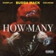 HOW MANY feat Gunplay Goldgad Single