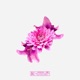 ASTROMELIAS EP