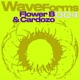 Waveforms 004 Single