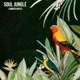 Summer Nights Single