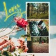 Loverboy Single