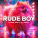 Rude Boy Techno Version Single