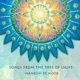 Songs from the Tree of Light