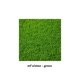 grass Single