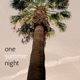 One Summer Night Single