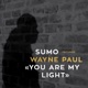 You Are My Light feat Wayne Paul Single